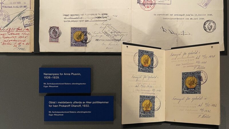 Pasaporte abierto con una visa estampada sobre una superficie neutra