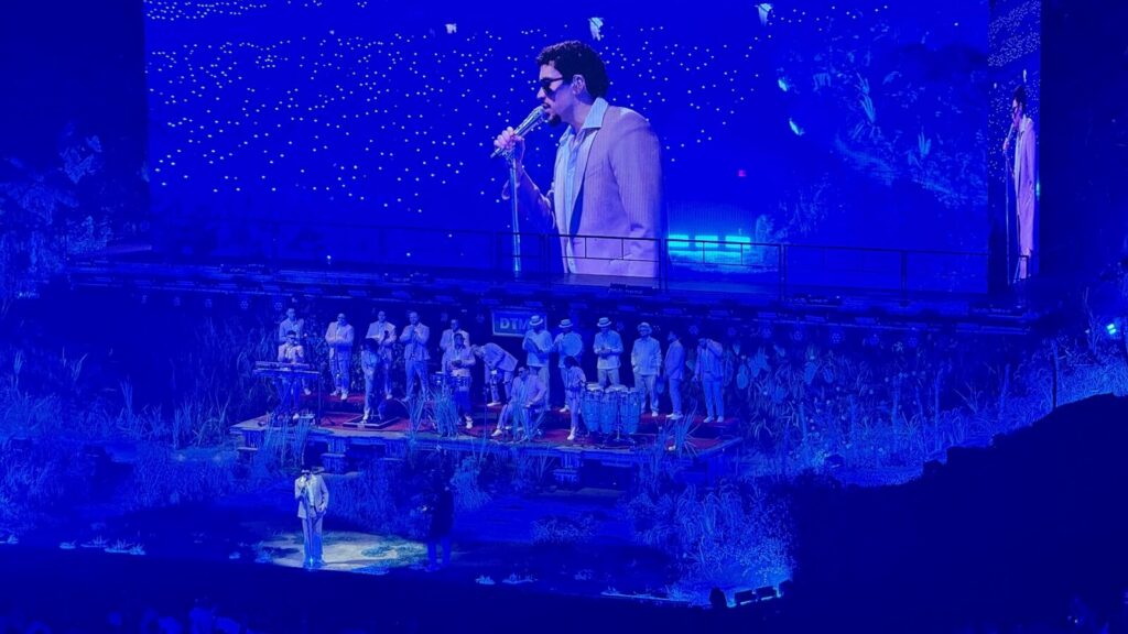 Cantante actuando sobre un escenario durante un concierto