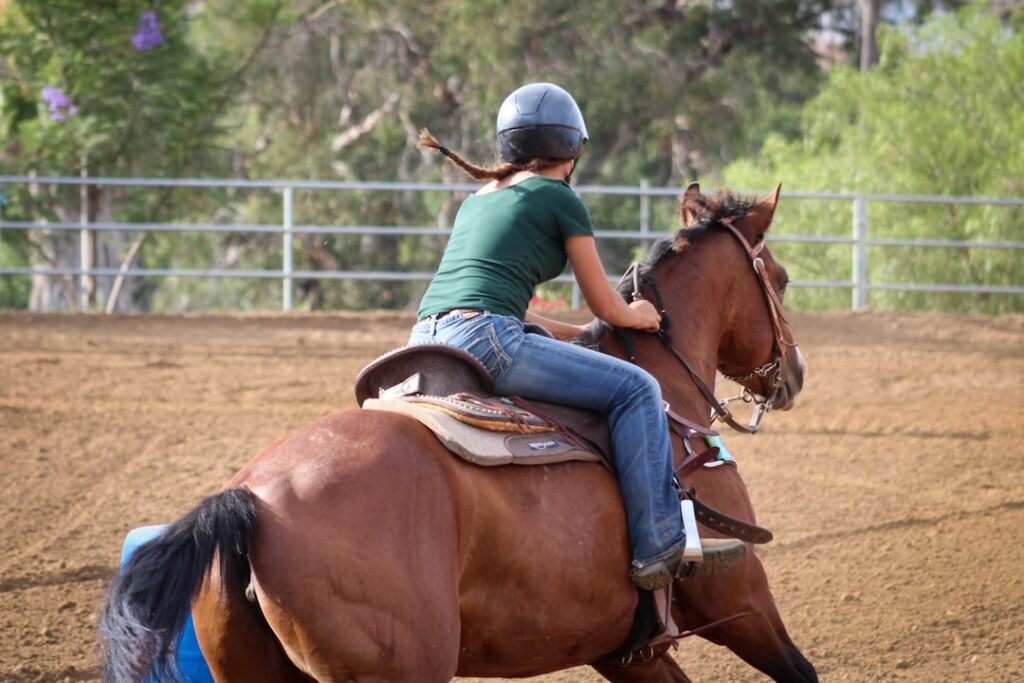 Un caballo en un espacio abierto durante una sesión de doma respetuosa