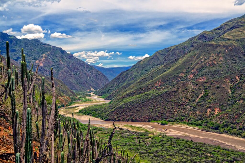 Paisaje de los Llanos orientales de Colombia, región donde se concentraron la mayoría de los hallazgos de petróleo y gas durante 2025
