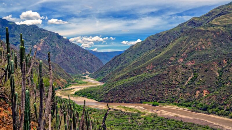 Paisaje de los Llanos orientales de Colombia, región donde se concentraron la mayoría de los hallazgos de petróleo y gas durante 2025
