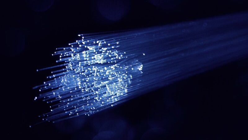 Cables de fibra óptica conectados a equipos de red en un centro de distribución de telecomunicaciones