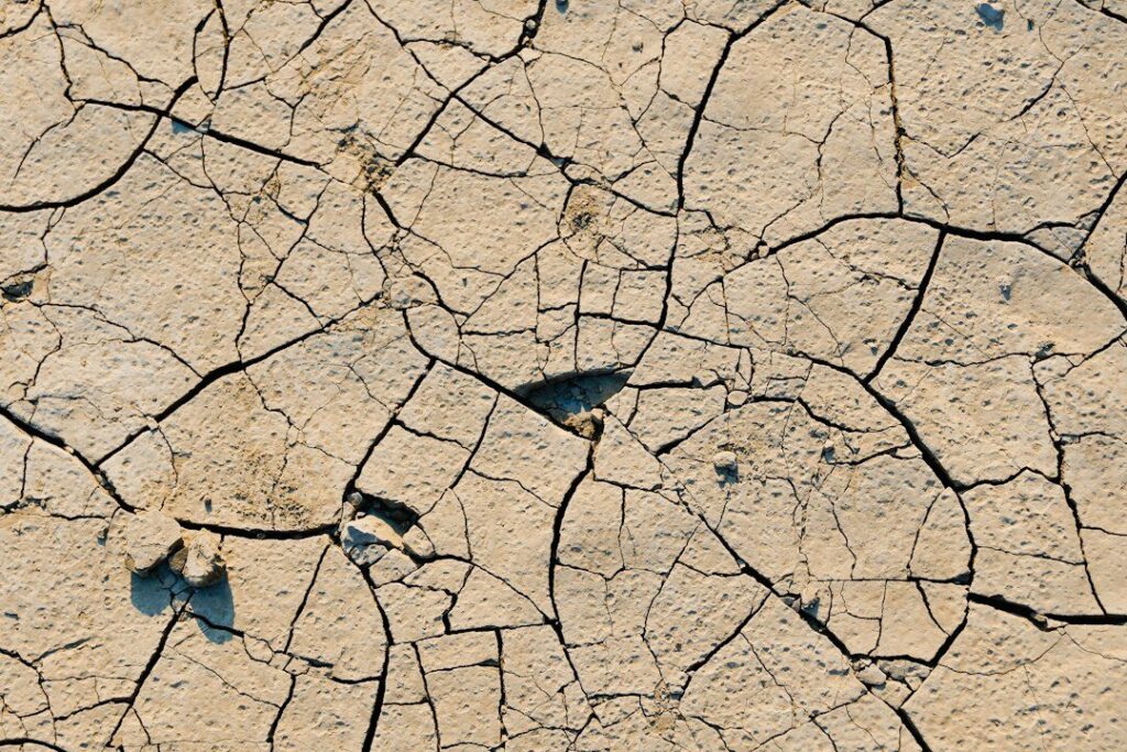 Causejo seco y agrietado de un río por falta de agua, imagen de la sequía que afecta cuencas en todo el mundo según la OMM
