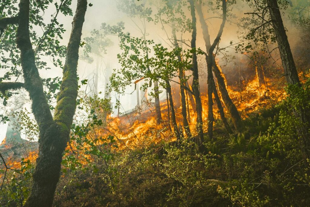 Llamas y humo avanzan sobre la vegetación en una ladera durante un incendio forestal