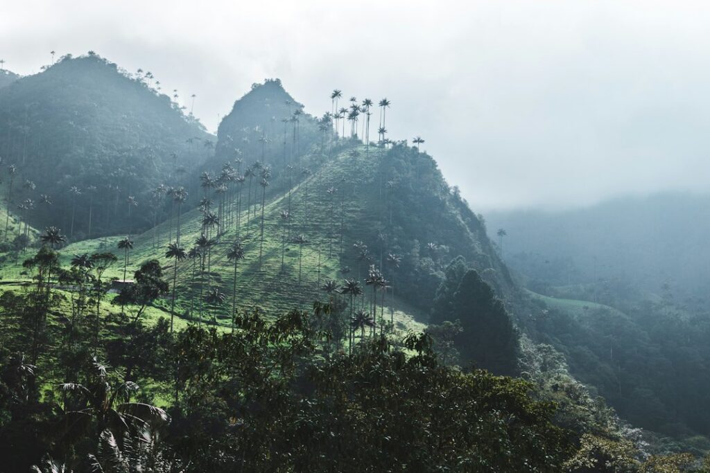 Vista panorámica de montañas verdes en Colombia, uno de los activos destacados en turismo y biodiversidad