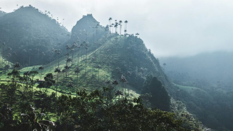 Vista panorámica de montañas verdes en Colombia, uno de los activos destacados en turismo y biodiversidad