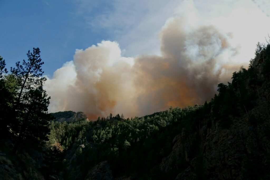 Columnas de humo y llamas sobre una ladera boscosa en una emergencia de incendio forestal