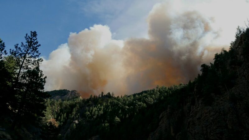 Columnas de humo y llamas sobre una ladera boscosa en una emergencia de incendio forestal