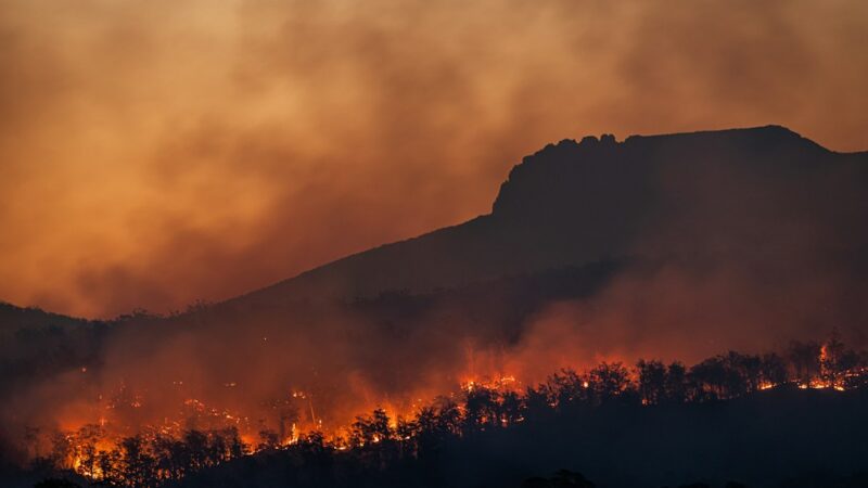Fuego y humo consumen la vegetación de una ladera durante un incendio forestal