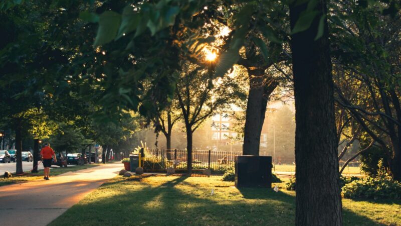 Parque urbano con árboles y jardines, imagen de referencia sobre el Parque Centenario de Bogotá, que existió en el sector actual de la Calle 26
