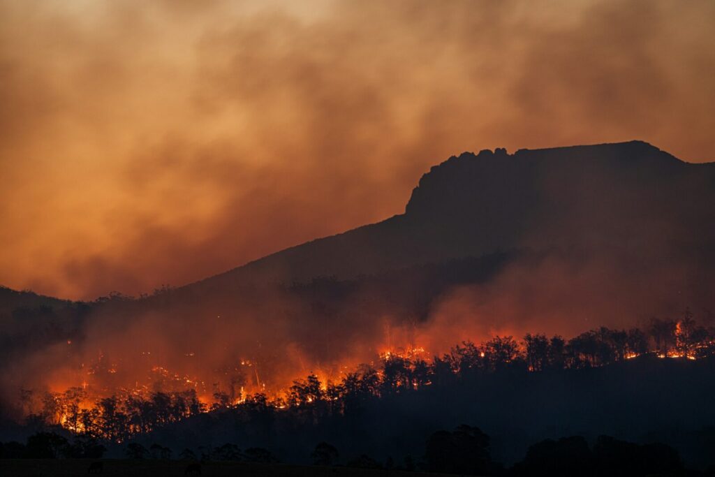 Fuego activo en un bosque de montaña durante un incendio forestal en zona de páramo