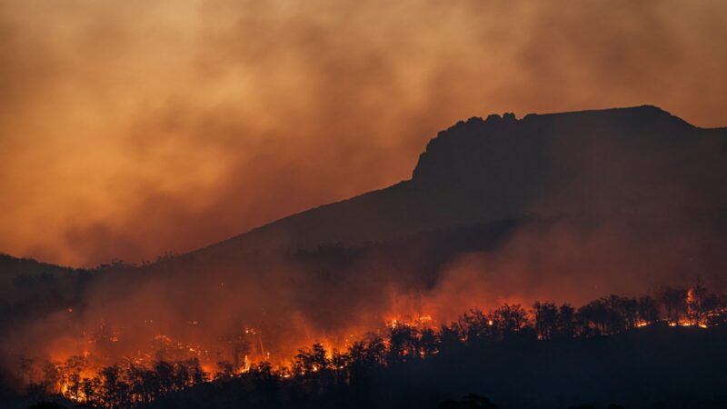 Fuego activo en un bosque de montaña durante un incendio forestal en zona de páramo
