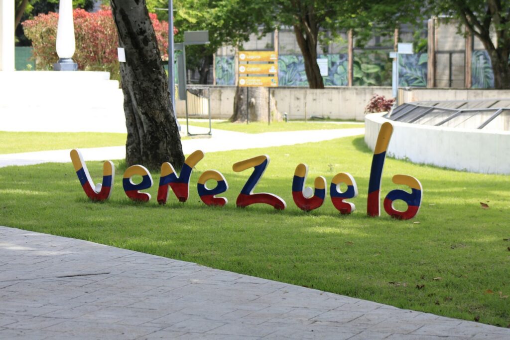 Manifestación política con banderas de Venezuela durante una movilización opositora