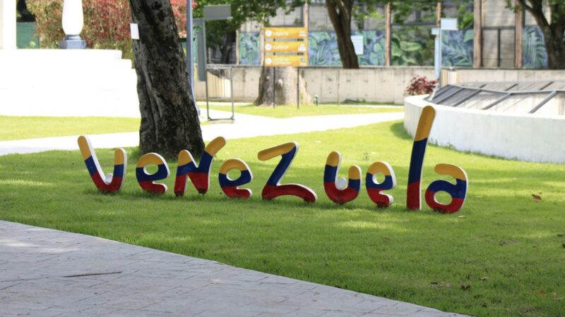 Manifestación política con banderas de Venezuela durante una movilización opositora