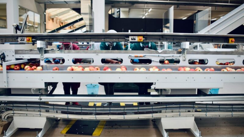 Instalaciones industriales y producción de alimentos asociadas con la expansión de una compañía multinacional