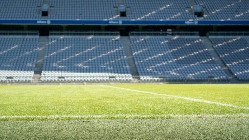 Director técnico observa un partido de fútbol desde la zona de banquillos de un estadio