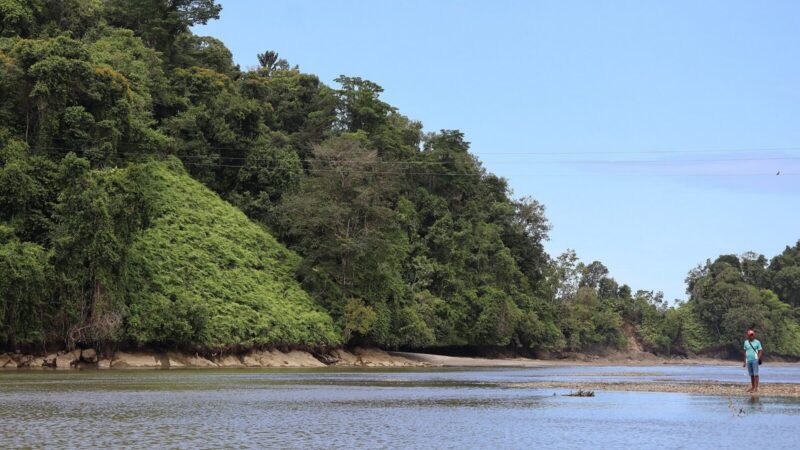 Manglares, estuarios y selva en la costa del Golfo de Tribugá, en Nuquí, Chocó, región que protagoniza la serie documental