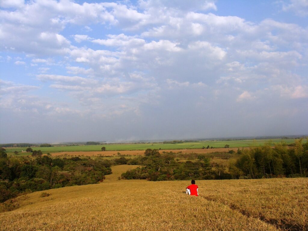 Paisaje de humedales y bosque tropical asociado a un área de conservación en el Valle del Cauca