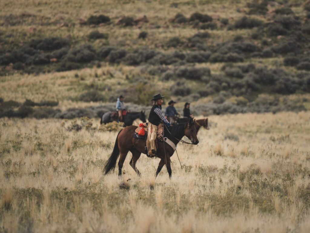 Jinete a caballo en la sabana llanera durante la celebración tradicional del Día del Llanero