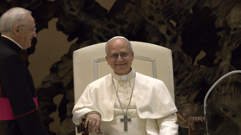 El papa León XIV pronuncia un discurso sobre la paz y las relaciones internacionales