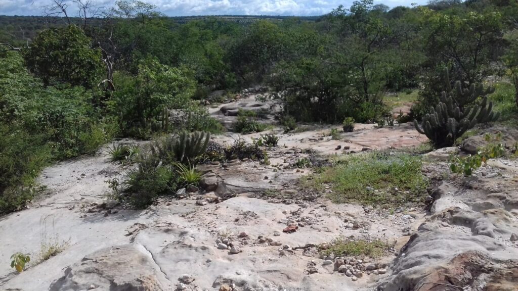 Escenario de un foro sobre seguridad y tecnología, donde expertos analizan el uso de drones e inteligencia artificial en la defensa colombiana