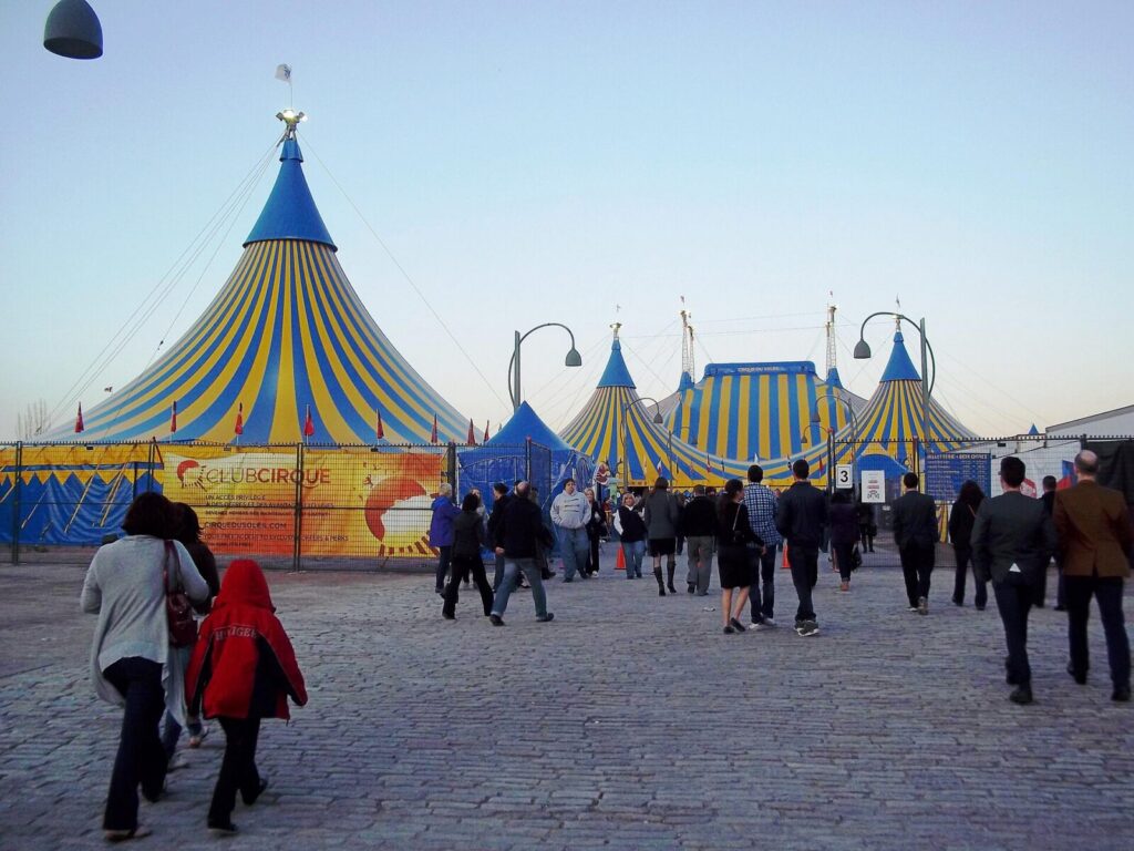 Artistas del Cirque du Soleil durante una presentación en vivo, con acrobacias y música sobre el escenario