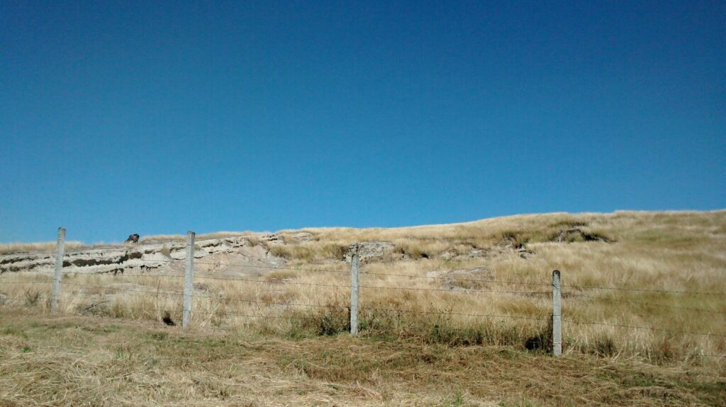 Vía Panamericana en el Cauca durante una emergencia de seguridad y movilidad