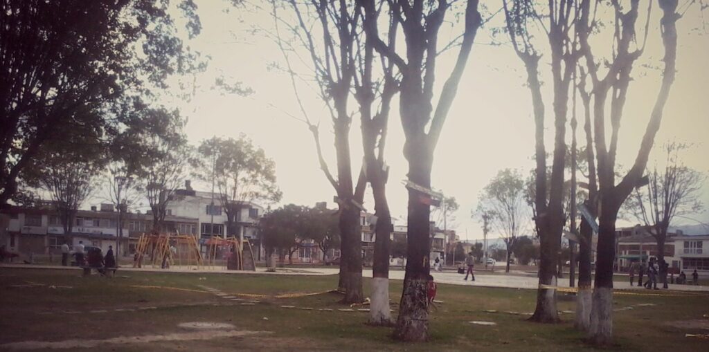 Decoración temática de Halloween en un parque preparado para actividades familiares