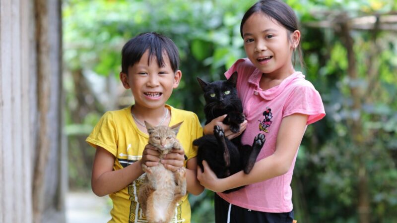 Gato negro en una actividad relacionada con educación y bienestar animal