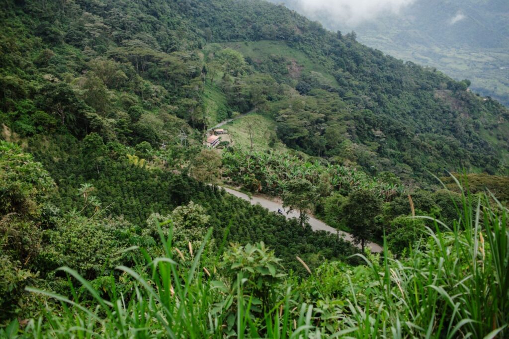 Carretera rural entre montañas en el departamento de Antioquia, zona donde viajaba el cantante El Andariego a un compromiso musical