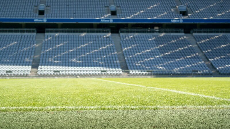 Director técnico de fútbol junto a la línea de campo durante un partido