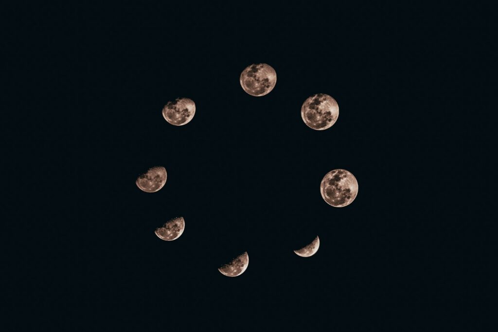Ilustración de los signos del zodiaco sobre un fondo de cielo nocturno