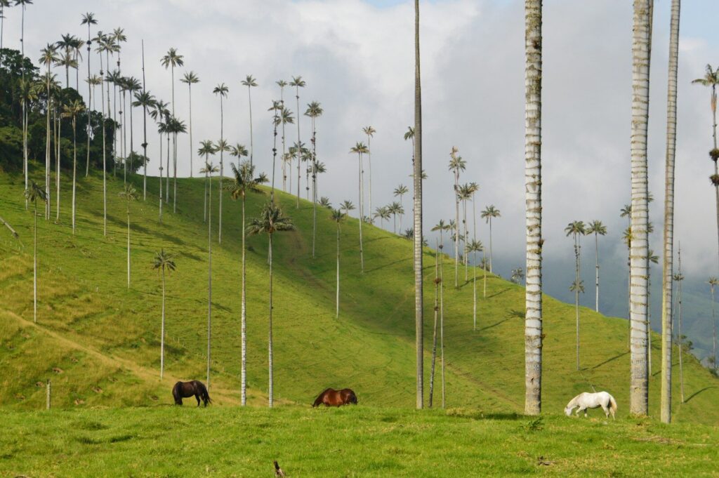 Torre de perforación petrolera en un paisaje que representa la exploración de hidrocarburos en el Meta