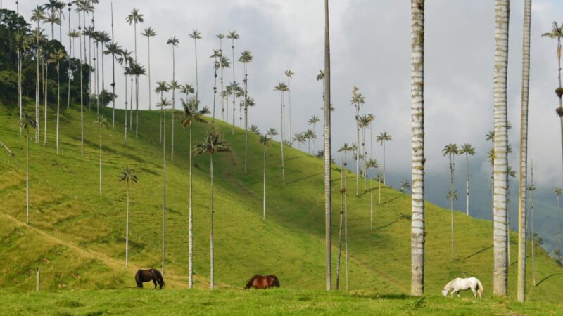 Torre de perforación petrolera en un paisaje que representa la exploración de hidrocarburos en el Meta