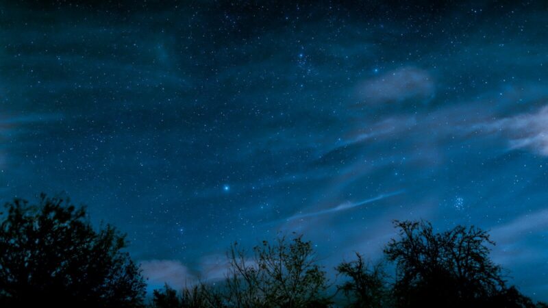Ilustración de los signos del zodiaco representados sobre un fondo de cielo nocturno