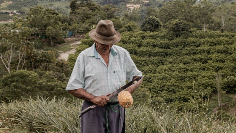 Mujeres rurales trabajan en actividades agrícolas y comunitarias