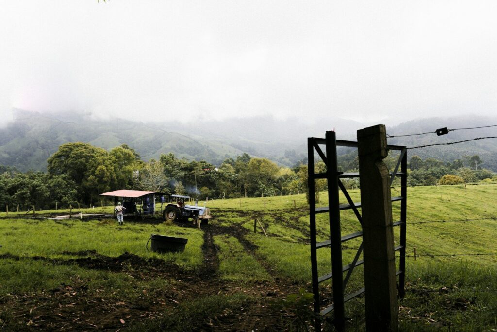 Camino rural en zona montañosa del sur del Tolima, közel del sector donde fue hallado el cuerpo