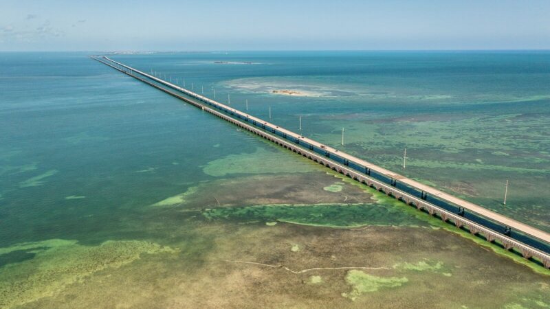Torres y cables de transmisión eléctrica en una red de energía