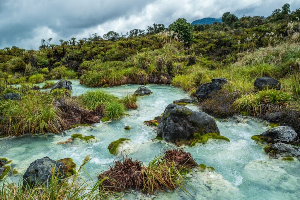 Zona natural con vegetación junto a una fuente de agua, representativa de proyectos de conservación ambiental