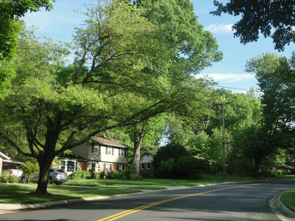 Calle residencial con árboles y viviendas, similar al paisaje urbano que motivó la comparación con Valledupar