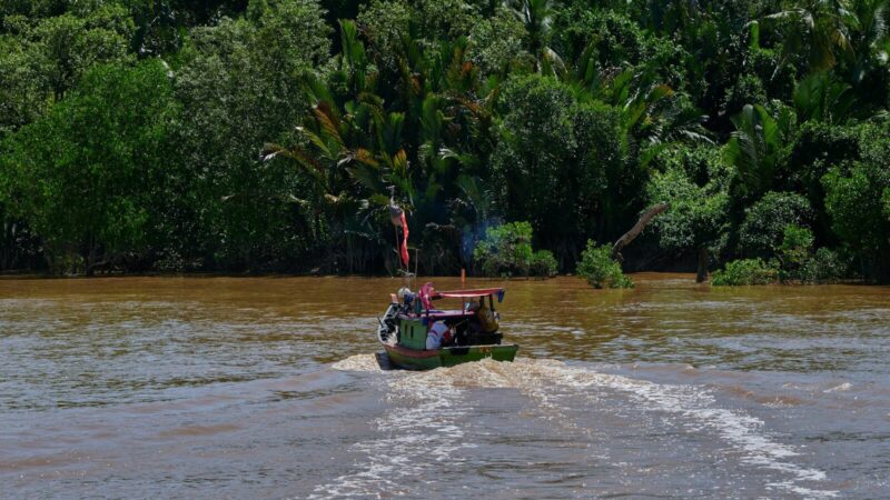 Paisaje fluvial de una comunidad del Pacífico colombiano, en referencia al caso ocurrido en El Charco, Nariño