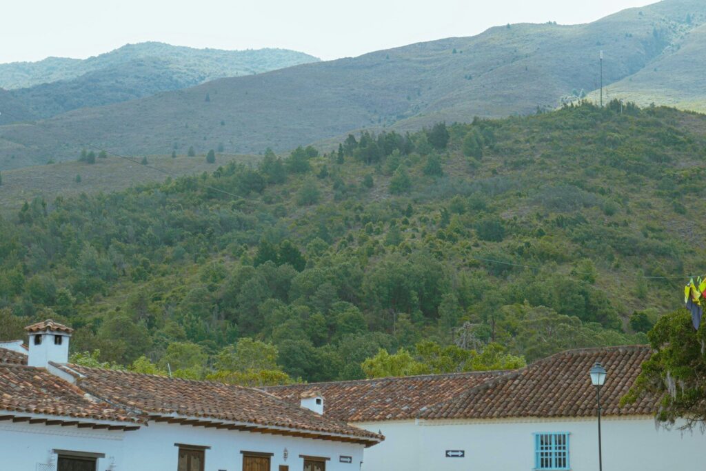 Vehículos policiales durante un operativo en una zona rural