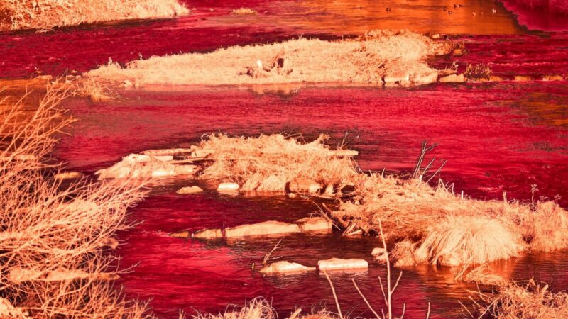 Río afectado por actividades de minería ilegal y contaminación ambiental