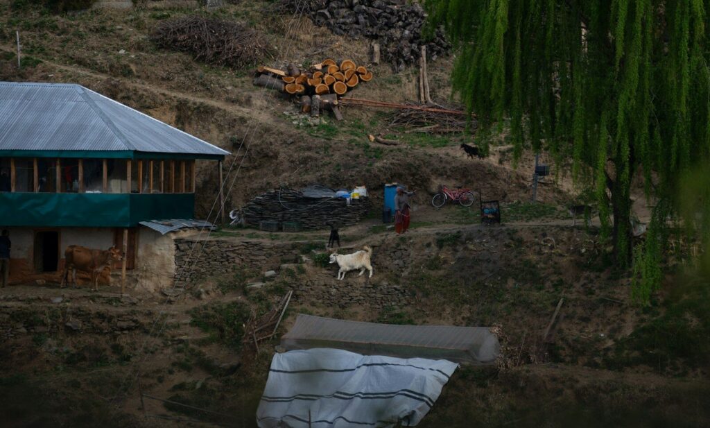 Despliegue de autoridades en labores de investigación en una zona rural
